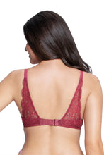 Load image into Gallery viewer, Amante Fantasy Back Solid Padded Wired Lace Bra - Autumn Rose 87101
