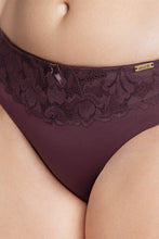 Load image into Gallery viewer, Amante Lace Low Rise Seamed Bikini Panty - Fig 88401