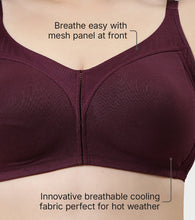 Load image into Gallery viewer, Enamor Innovations Fabcool Full Support Everyday Full Figure Bra - Jiggle Control and Antimicrobial, Non-Padded, Wirefree, Full Coverage Women's Bra - AB75 (Available in Plus Sizes) (Purple)