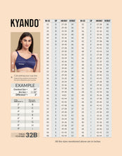 Load image into Gallery viewer, Kyando Bra Aubrey