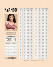 Load image into Gallery viewer, Kyando Bra Elaine