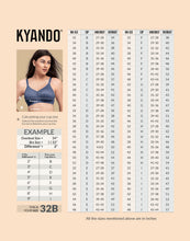 Load image into Gallery viewer, Kyando Bra Elaine