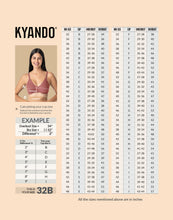 Load image into Gallery viewer, Kyando Bra Front Open