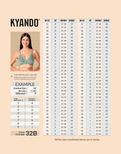 Load image into Gallery viewer, Kyando Bra Front Open