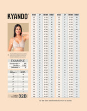 Load image into Gallery viewer, Kyando Bra Front Open