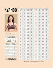 Load image into Gallery viewer, Kyando Bra KYB-101