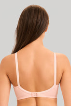 Load image into Gallery viewer, Sherry Bra OLIVIA