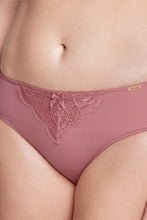 Load image into Gallery viewer, Amante Lace Elegance Bikini Panty - Dusty Rose 87701
