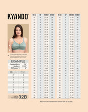 Load image into Gallery viewer, Kyando Bra Elaine
