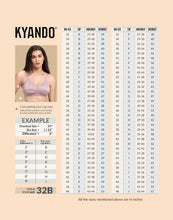 Load image into Gallery viewer, Kyando Bra Elaine
