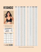 Load image into Gallery viewer, Kyando Bra Front Open

