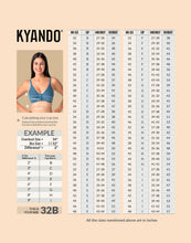 Load image into Gallery viewer, Kyando Bra Front Open
