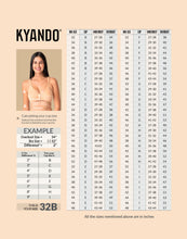 Load image into Gallery viewer, Kyando Bra Front Open
