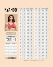 Load image into Gallery viewer, Kyando Bra KYB-101
