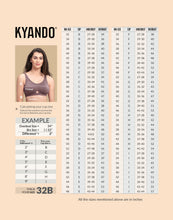 Load image into Gallery viewer, Kyando Bra KYB-101
