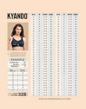 Load image into Gallery viewer, Kyando Bra KYB-101
