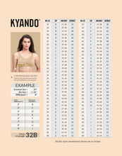 Load image into Gallery viewer, Kyando Bra KYB-101
