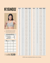 Load image into Gallery viewer, Kyando Bra Scarlet
