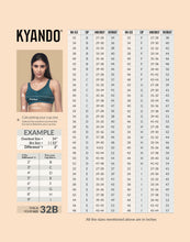 Load image into Gallery viewer, Kyando Bra Scarlet
